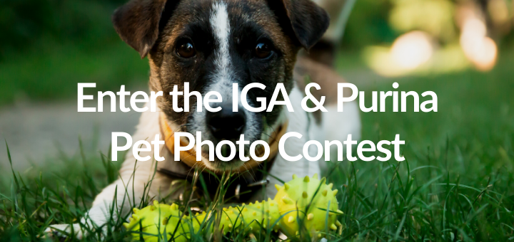 IGA and Purina Pet Photo Contest